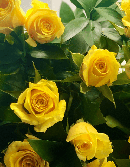 Yellow Rose Bouquet – Impala Online